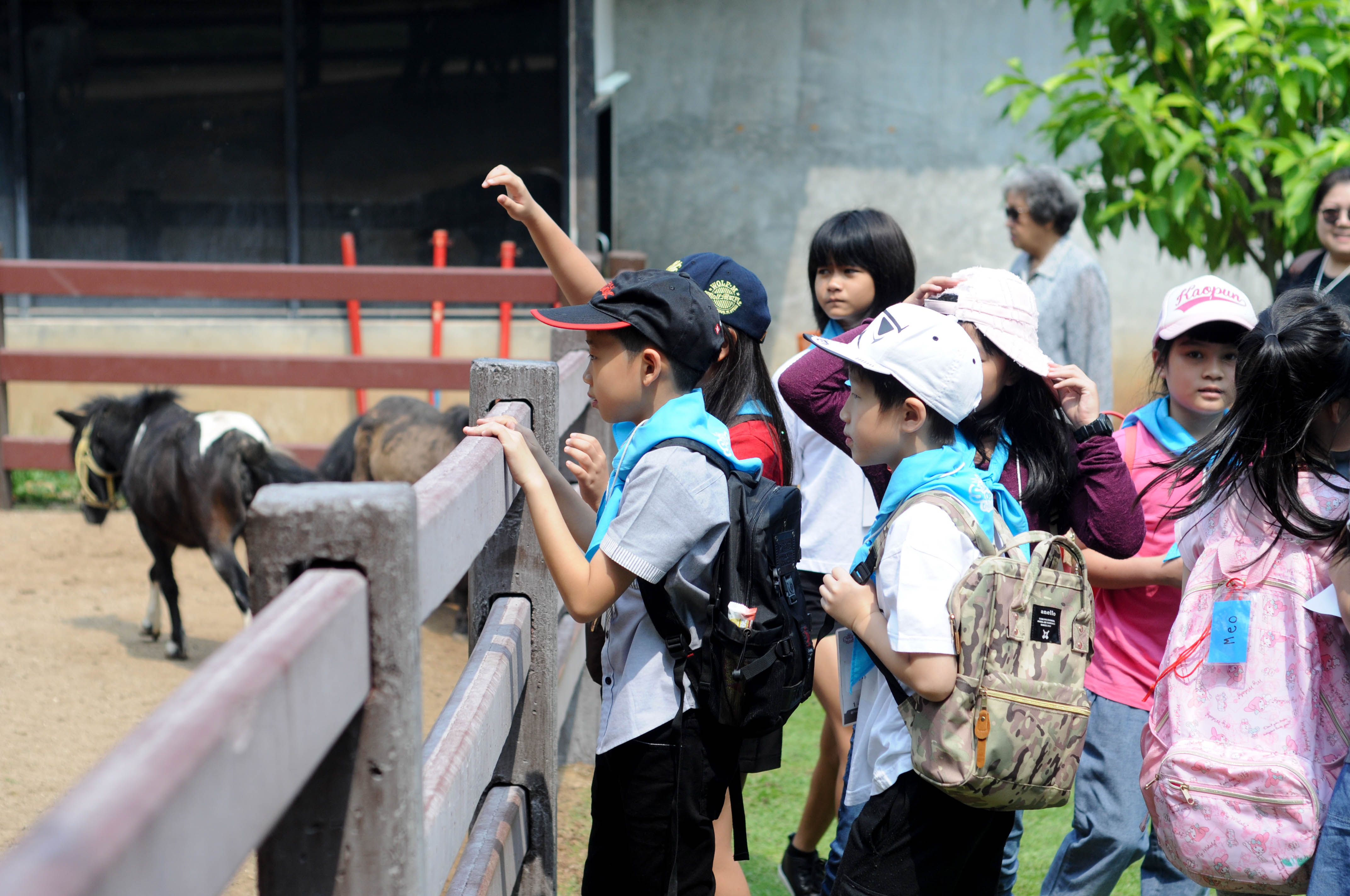 Little Farmer Fun Day at Fountain Tree Resort, khao yai